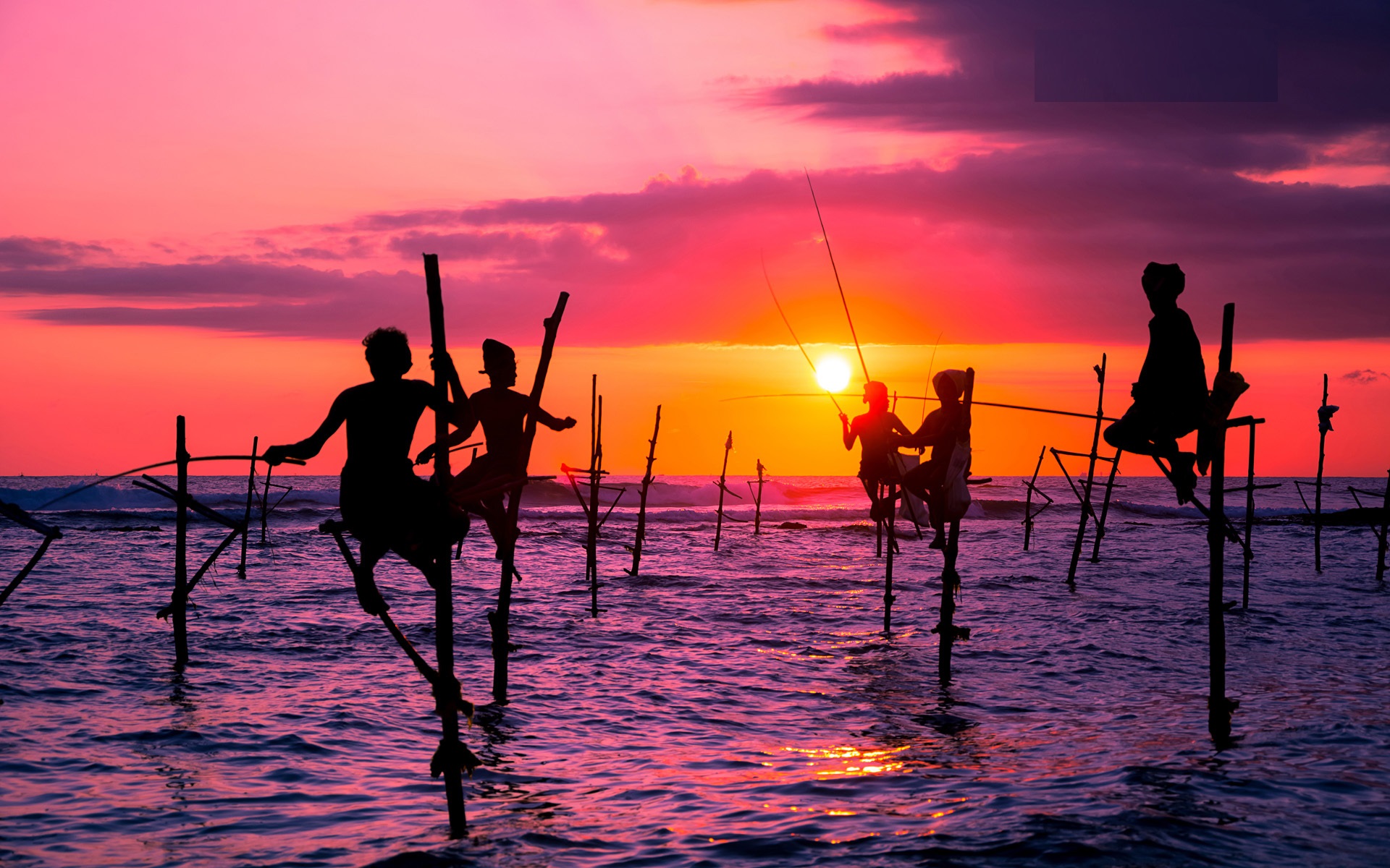 Traditional stilt fisherman, Sri Lanka